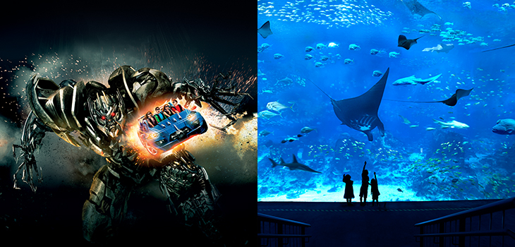 transformers and Aquarium