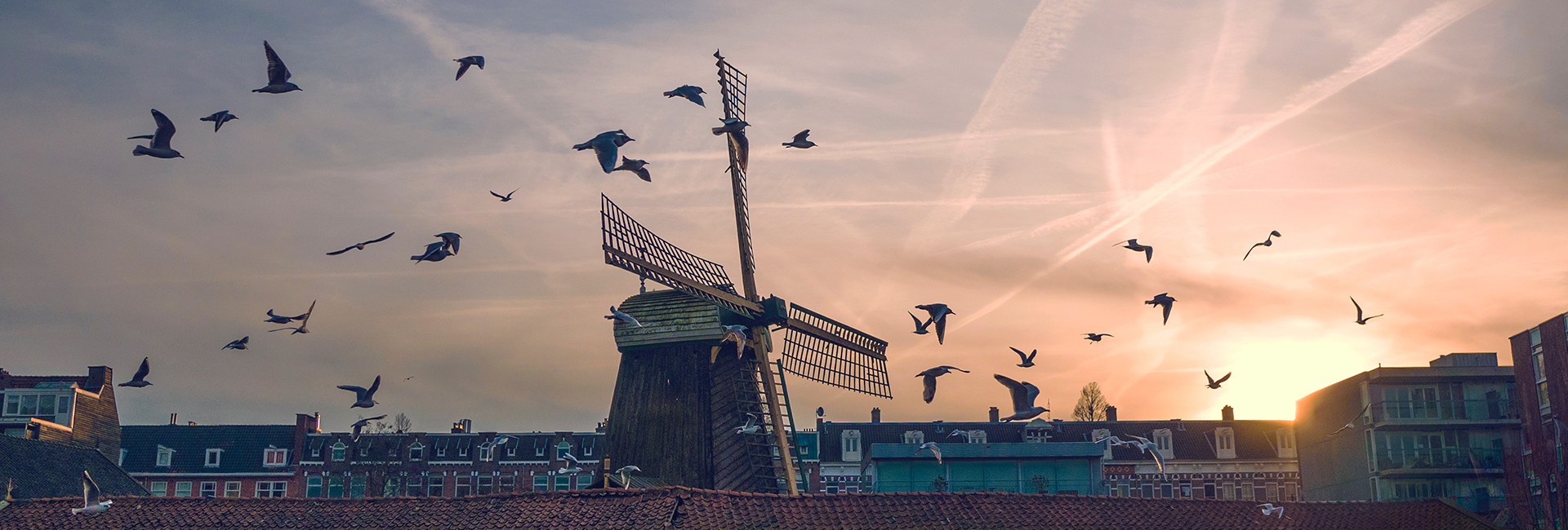 Amsterdam – through the eyes of Corene Lee