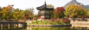 Fall for Seoul