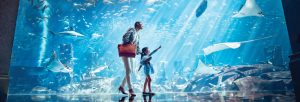Travel Aggregator October 2018 Issue out now