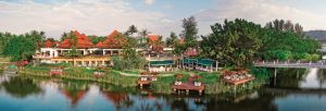 Banyan Tree Experience