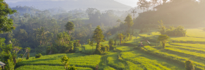 72 Hours in Bali