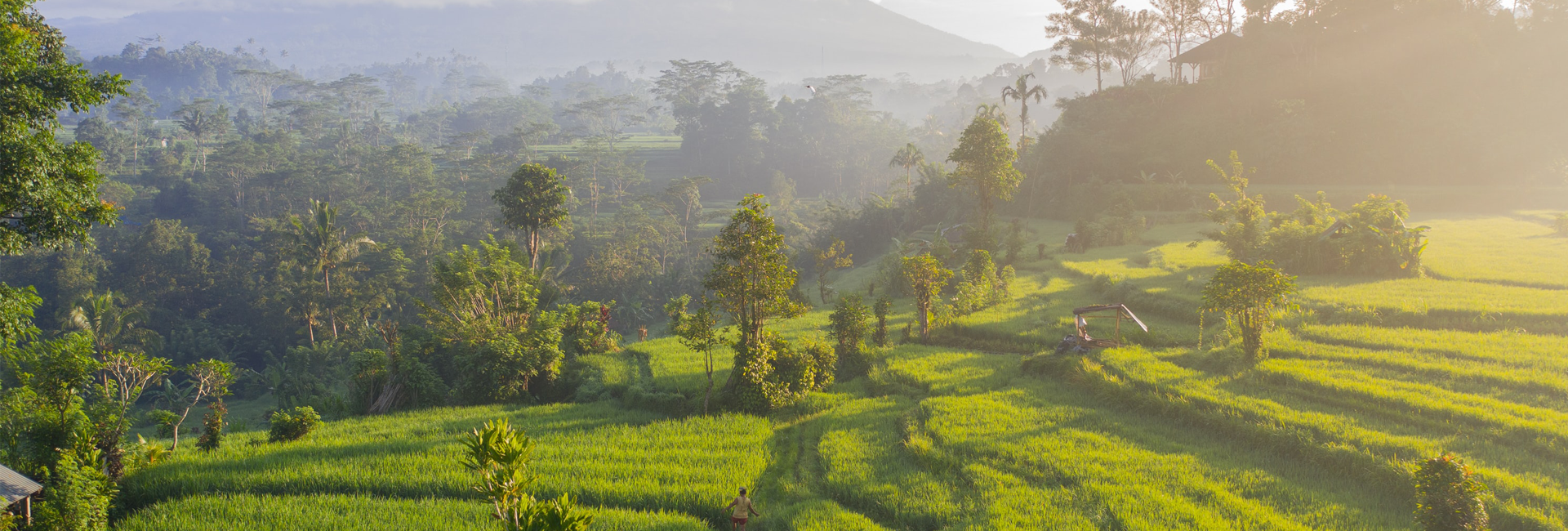 72 Hours in Bali