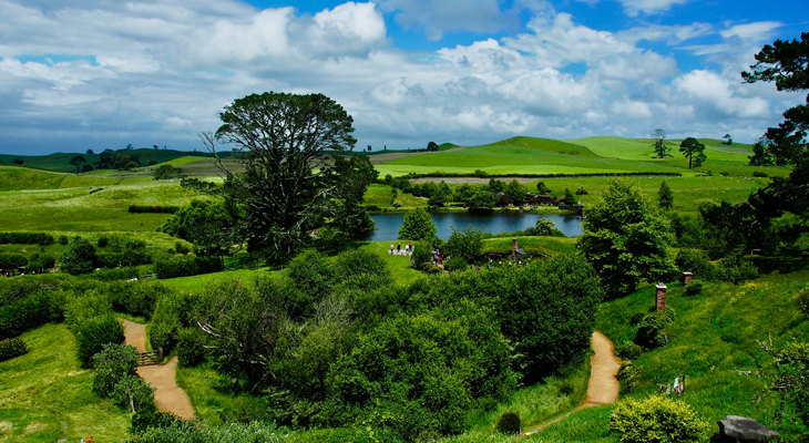 Matamata Hills, New Zealand