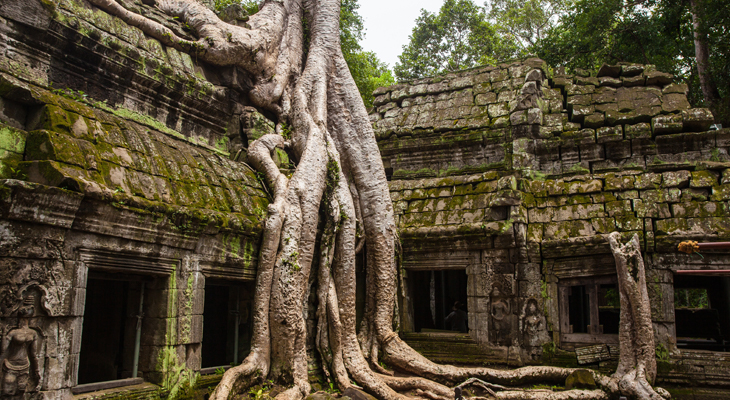 Ta Prohm Temple