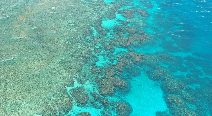 Great Barrier Reef